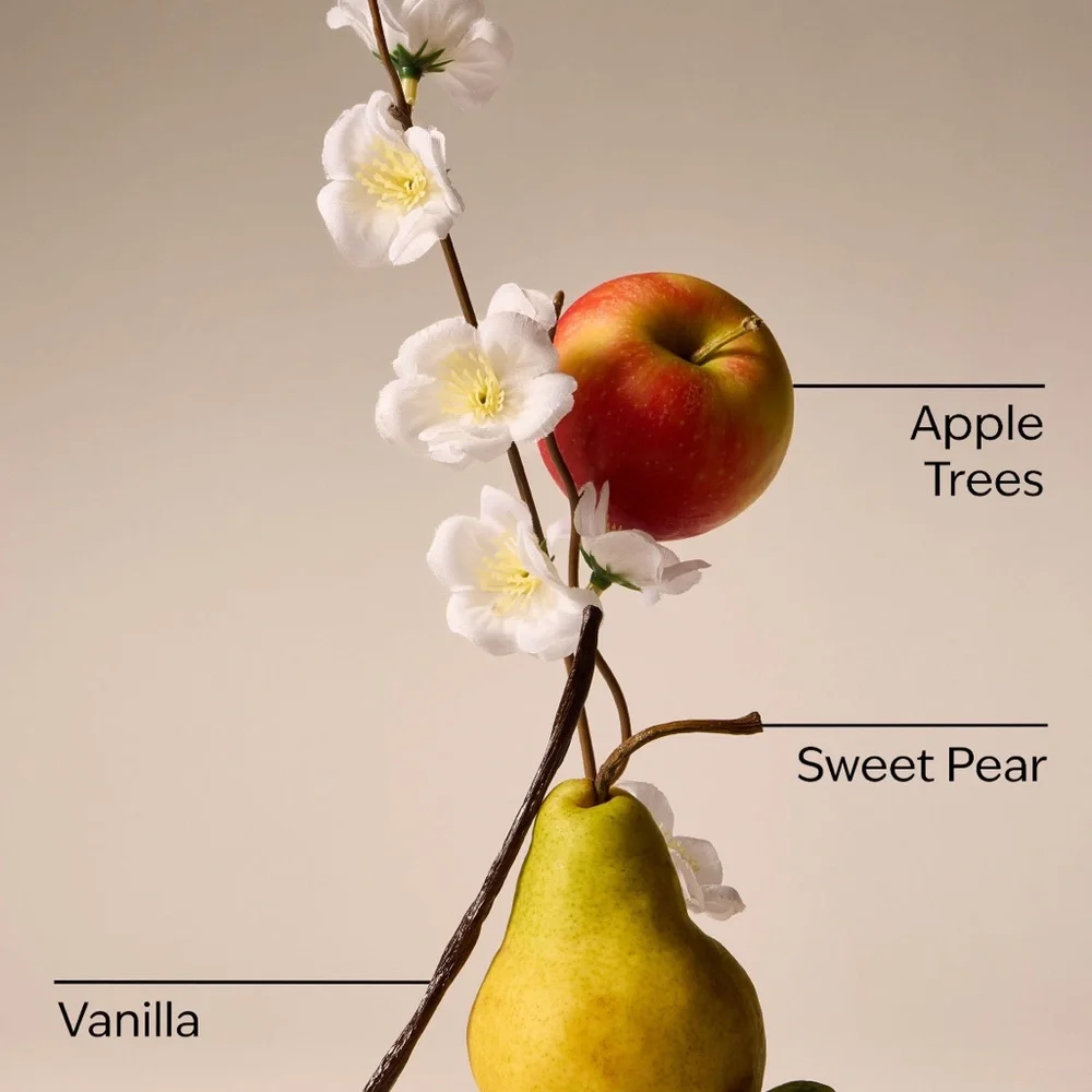 SPRING APPLE Bath & Body Works Single-wick Candle